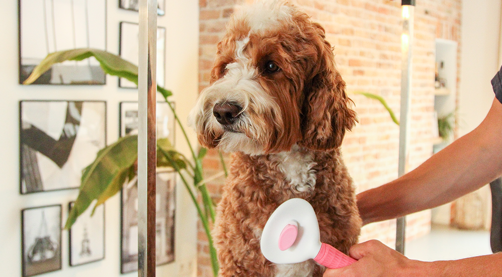 Vachtverzorging honden